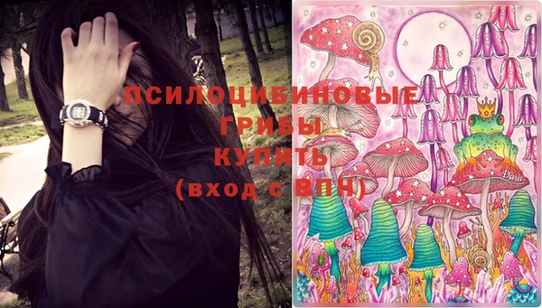 молекула духа Армянск