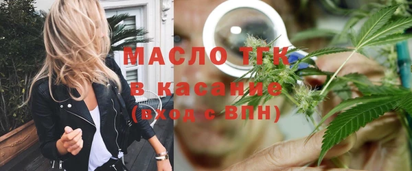 молекула духа Арсеньев