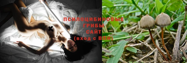 молекула духа Арсеньев